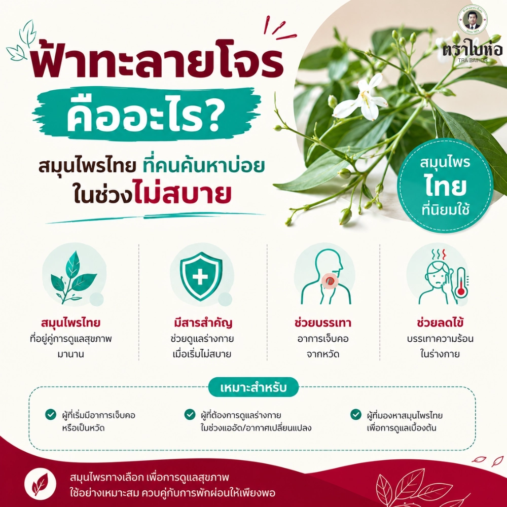 ฟ้าทะลายโจร คืออะไร