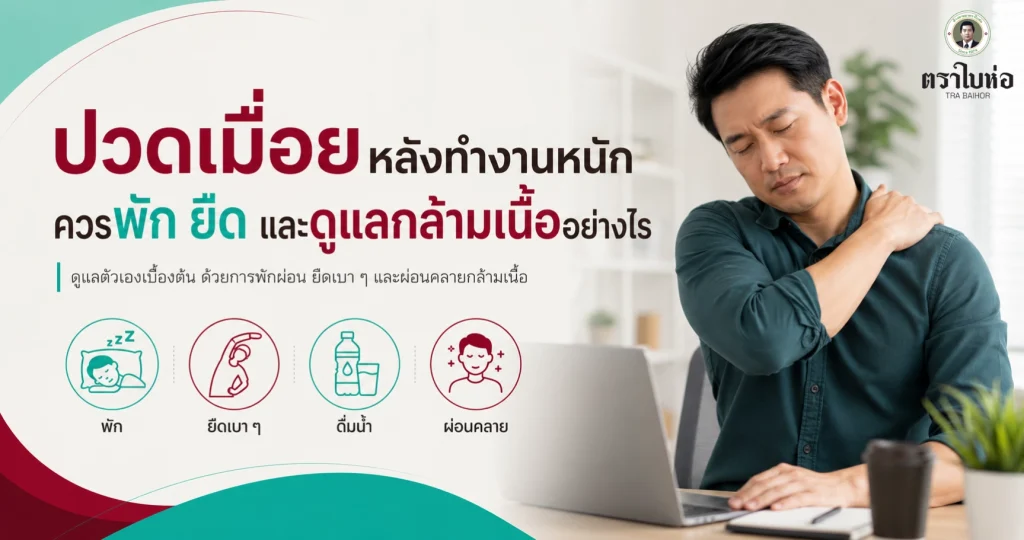ปวดเมื่อยหลังทำงานหนัก ควรพัก ยืด และดูแลกล้ามเนื้ออย่างไร