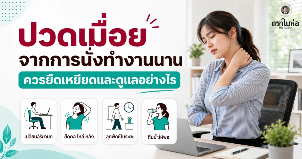 ปวดเมื่อยจากการนั่งทำงานนาน ควรยืดเหยียดและดูแลอย่างไร