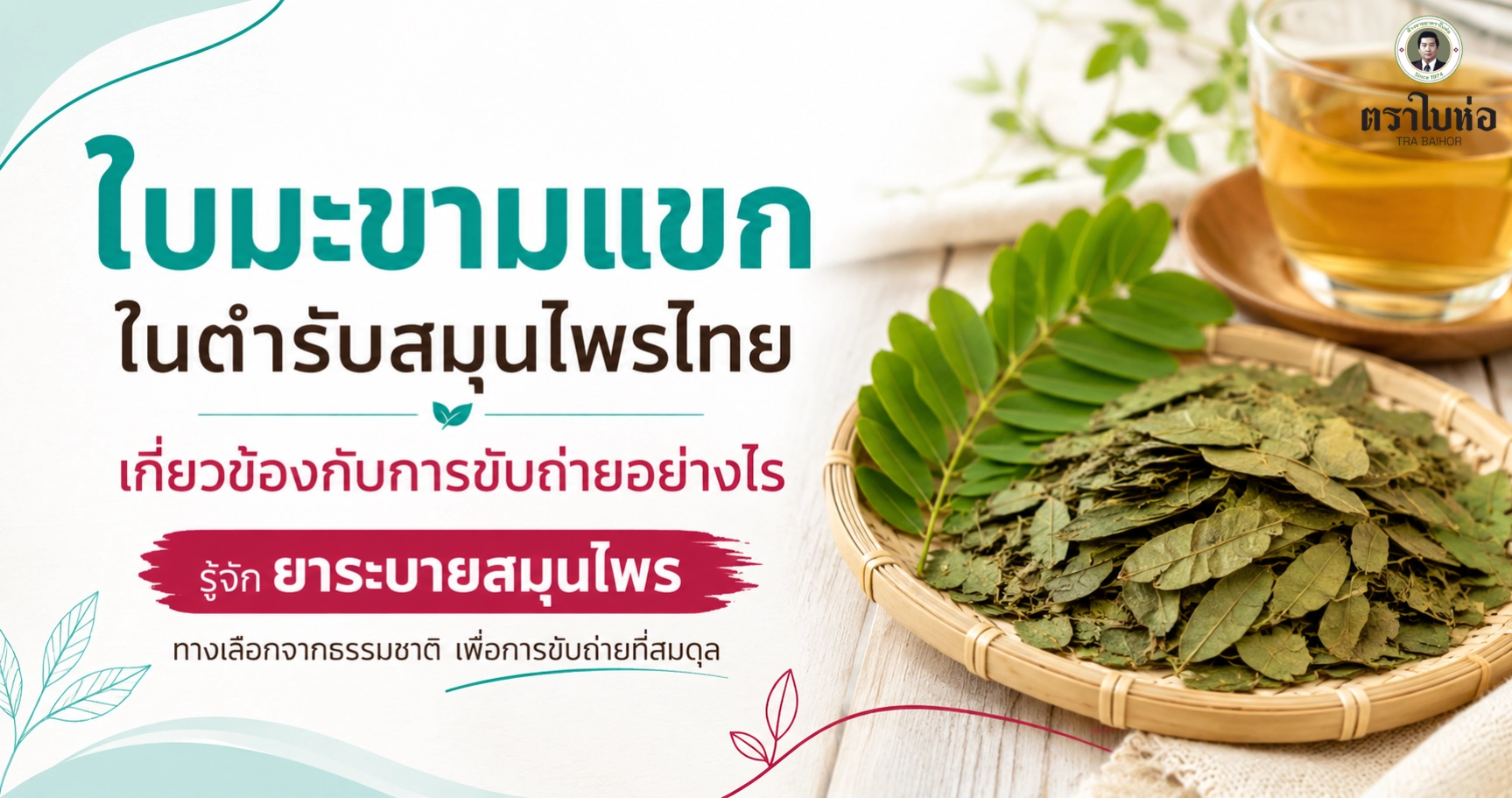 ใบมะขามแขก ในตำรับสมุนไพรไทย เกี่ยวข้องกับการขับถ่ายอย่างไร