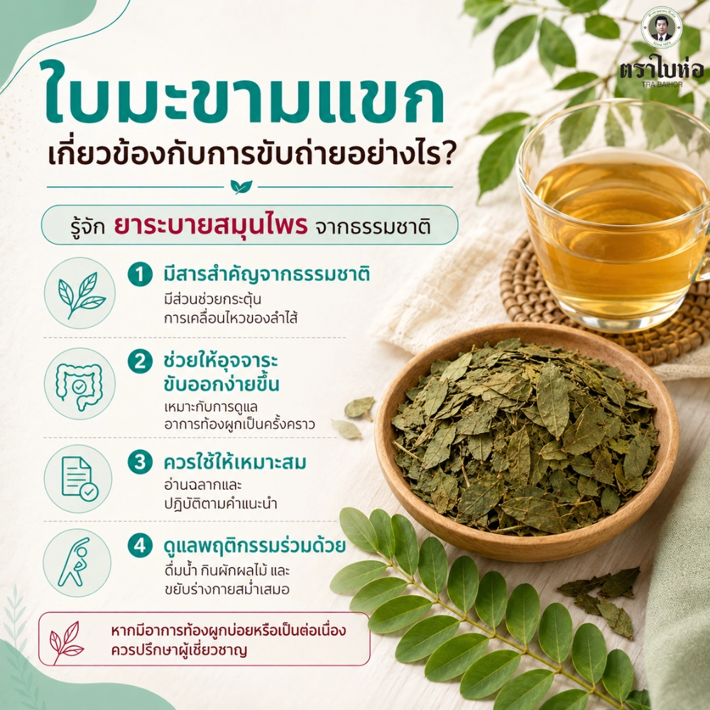 ใบมะขามแขก เกี่ยวข้องกับการขับถ่ายอย่างไร
