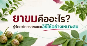 ยาขมคืออะไร? รู้จักยาไทยรสขมและวิธีใช้อย่างเหมาะสม | ตราใบห่อ