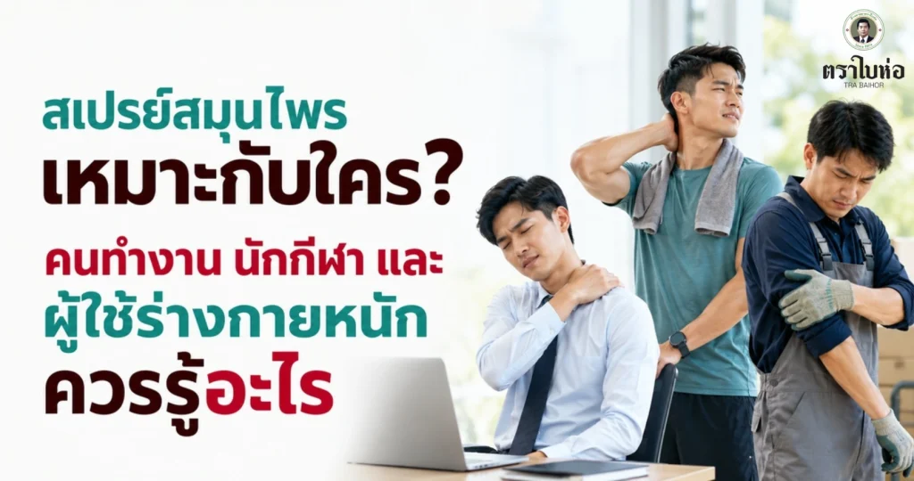 สเปรย์สมุนไพรเหมาะกับใคร? คนทำงาน นักกีฬา และผู้ใช้ร่างกายหนักควรรู้อะไร
