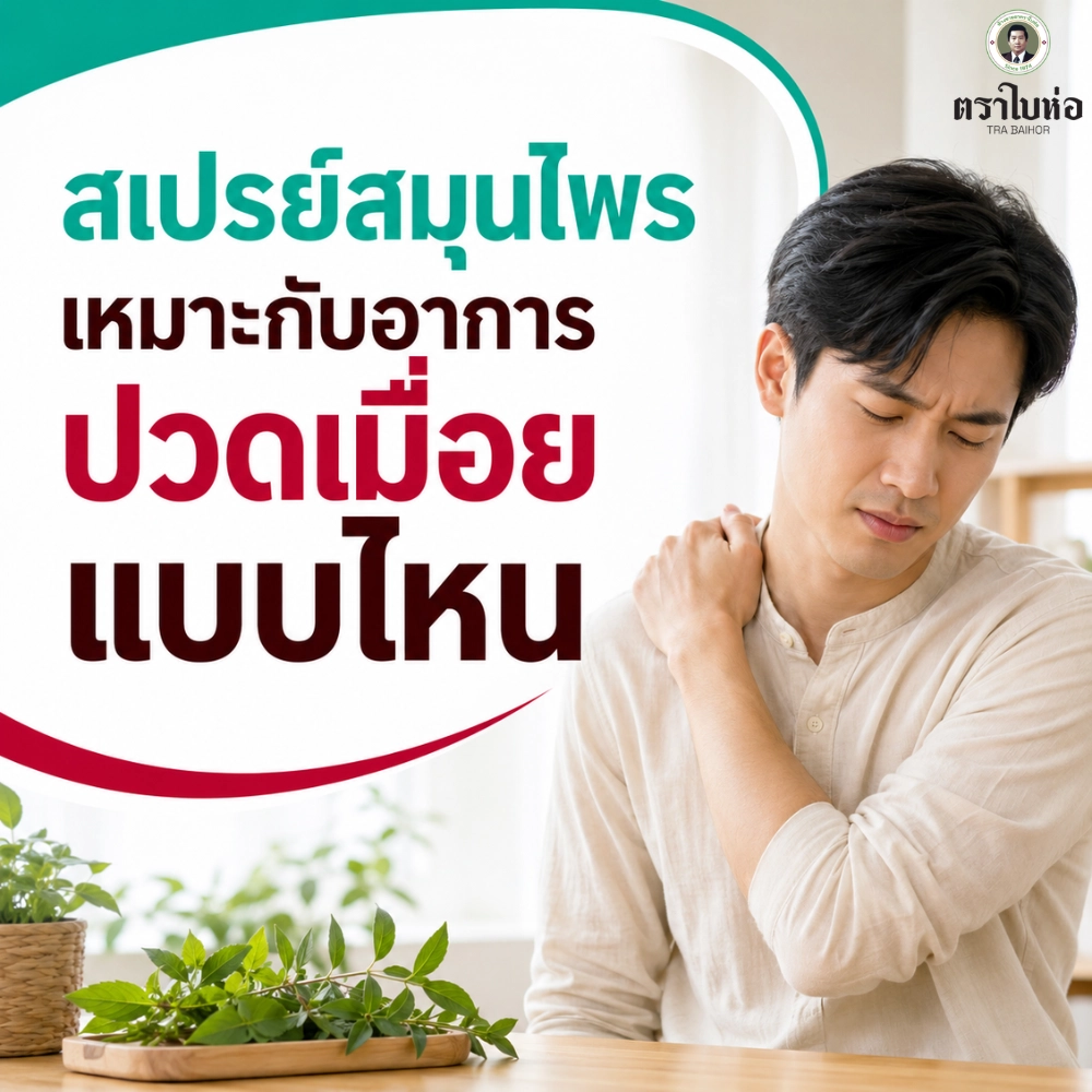 สเปรย์สมุนไพรเหมาะกับอาการปวดเมื่อยแบบไหน