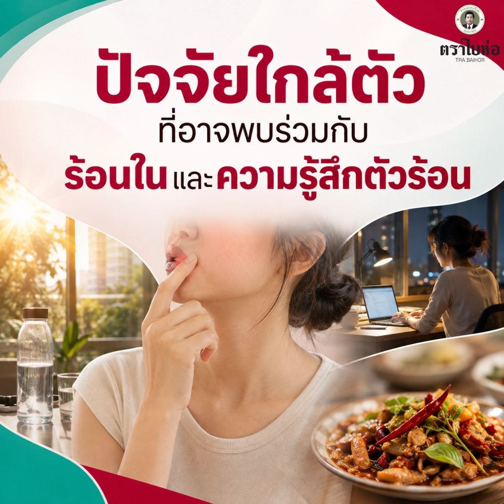 ปัจจัยใกล้ตัวที่อาจพบร่วมกับร้อนในและความรู้สึกตัวร้อน