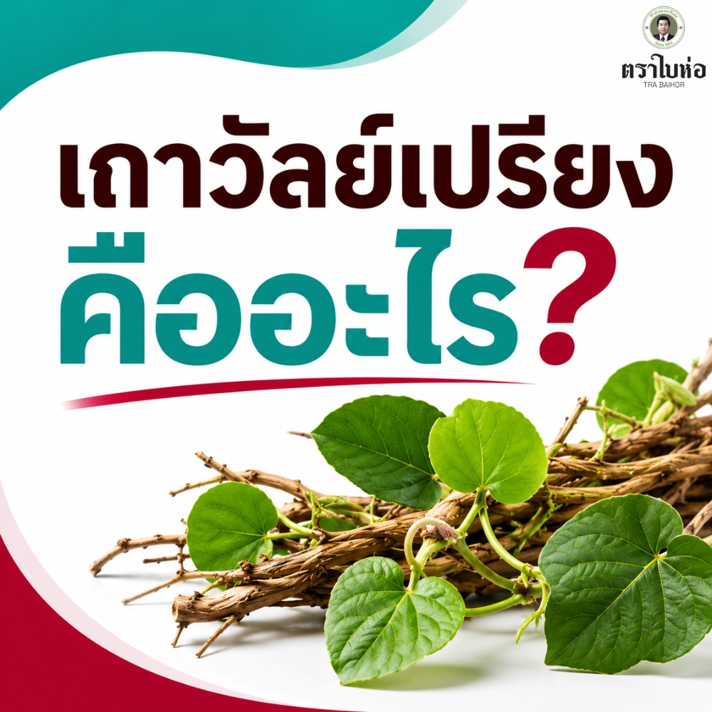 เถาวัลย์เปรียงคืออะไร