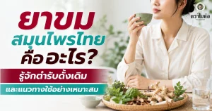 ยาขมสมุนไพรไทย คืออะไร? รู้จักตำรับดั้งเดิมและแนวทางใช้อย่างเหมาะสม