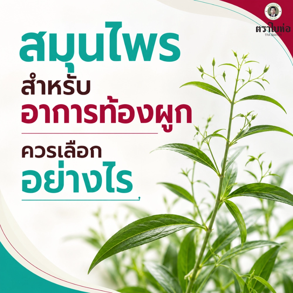 สมุนไพรสำหรับอาการท้องผูกควรเลือกอย่างไร
