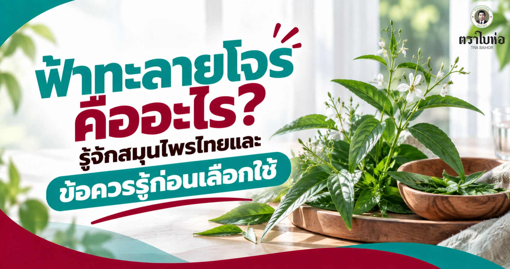 ฟ้าทะลายโจรคืออะไร? รู้จักสมุนไพรไทยและข้อควรรู้ก่อนเลือกใช้