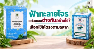 ฟ้าทะลายโจรแต่ละแบบต่างกันอย่างไร? เลือกใช้ให้ตรงตามฉลาก